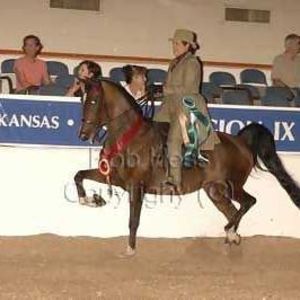 Meet your Posher, Terri